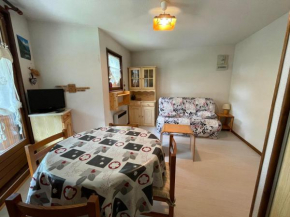 Studio calme avec balcon sud, parking, 4 pers max – Abondance - FR-1-692-100